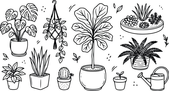Set of hand drawn indoor house plants in pots including monstera fiddle leaf fig and succulents for home decor and garden illustration collection