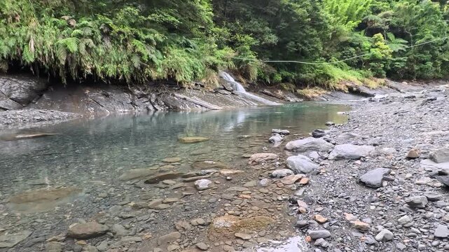 Clear mountain stream flowing gently past rocky banks and lush green forest, 4K b-roll