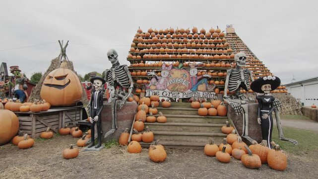Festive pumpkin patch entrance with skeleton statues for halloween holiday event.