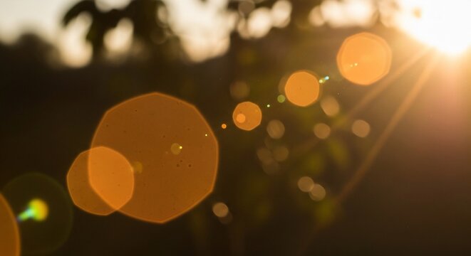 Sunlight flare bokeh nature