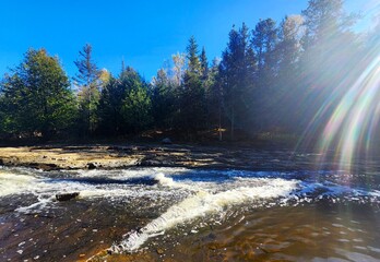 river in the forest © Lesya