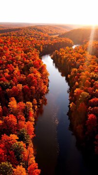 Aerial View of a Winding River Flowing Through a Dense Forest with Vibrant Autumn Foliage at Golden Hour