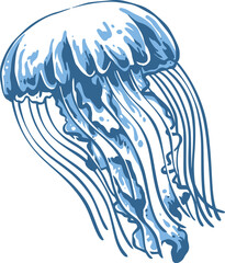 Stylized blue jellyfish with flowing tentacles, translucent bell, textured highlights, and clean coastal vector line art, isolated on white for marine and ocean themes