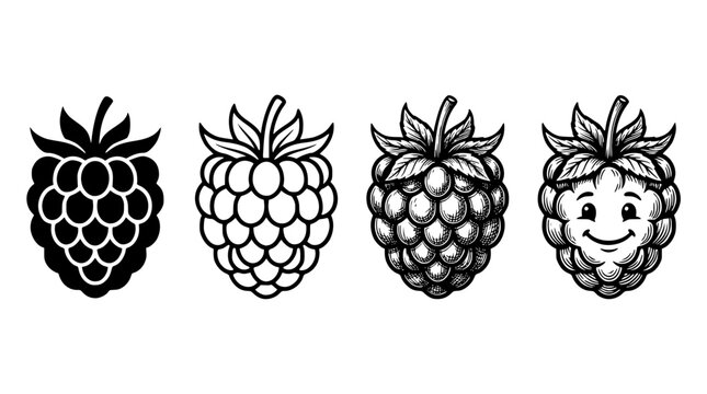 Hand-drawn raspberry fruit icons in black and white line art. Cute berry illustrations for food packaging, labels, and healthy eating designs.