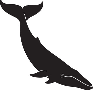 Blue whale