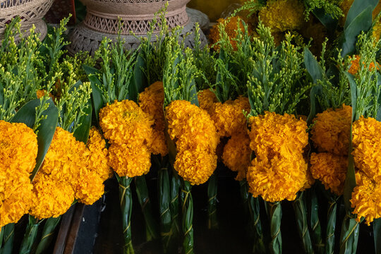 Marigold Flowers Bundled for Temple Offerings, Surat Thani, Thailand