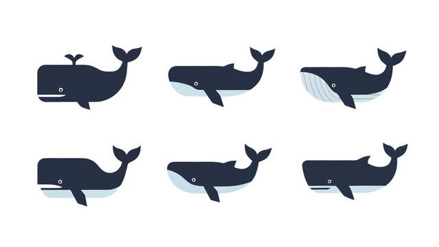 Set of six flat design whale illustrations in various poses, showcasing different species and ocean life.