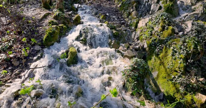 Cascading refreshing waterfall on mountain river in sunny forest