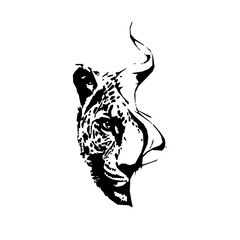 leopard drawing pattern © DUYLONG