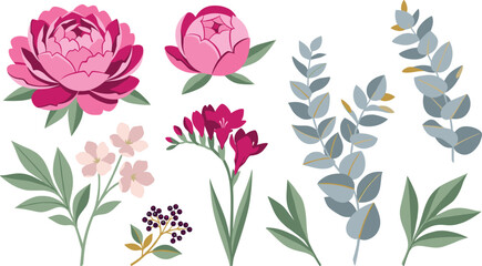 Elegant botanical floral collection vector illustration kit featuring magenta pink peony buds magenta freesia dark blue eucalyptus branches and wild berries isolated on white background © MdMoksedul