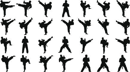 Grid of black silhouettes of martial artists performing kicks karate martial arts © Mstnajma