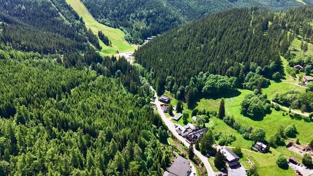 Oblique aerial view showing dense conifer forest across mountain valley beside winding road, scattered alpine lodges, broadleaf patches, grassy meadow clearing and bright sunlit rural landscape