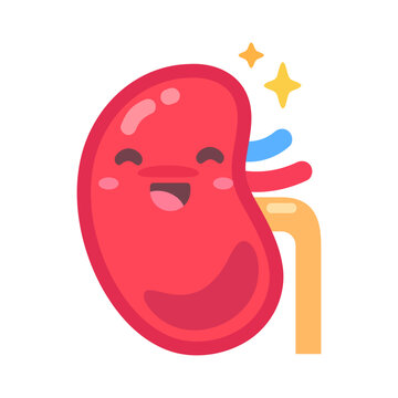 Vibrantly colored, cheerful cartoon kidney mascot sparkling with good health and vitality on white.