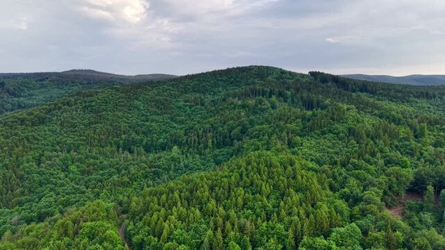 Lush green forest landscape no visible action static scene, in forest with rolling hills and cloudy sky, with green trees, rolling hills, cloudy sky, with green, blue accents, nearby objects.