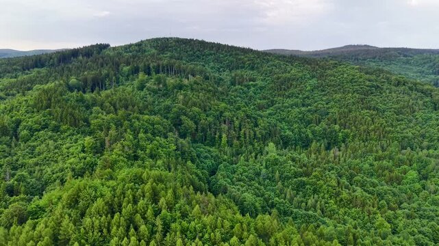 Sweeping aerial view of dense temperate forest draped across rolling hills under soft overcast light, with summit mast visible above treetops and layered green landscape extending far beyond