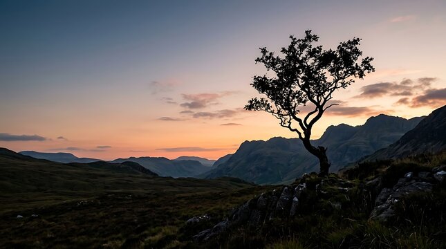 Lone tree silhouette against a mountainous sunset horizon