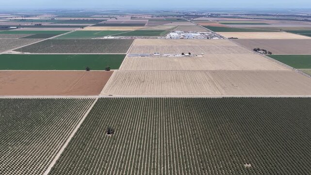 Patchwork Of Agricultural Fields In Rural Countryside of Yuba County California USA