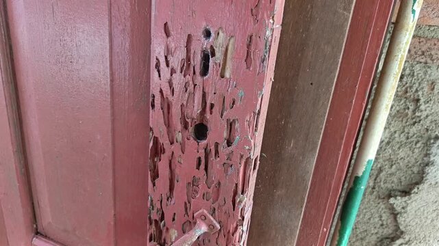 Stock footage displaying intricate termite tunnels and severe structural damage on a red wooden door frame.