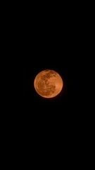 moon in the night © Vikarest