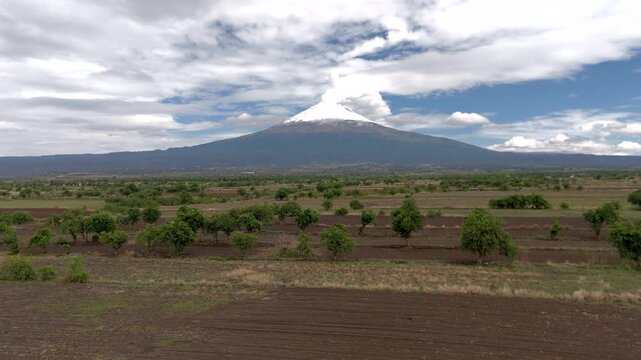 Drone footage flying forward over cultivated agricultural fields with rows of trees, revealing the snow-capped Popocatepetl volcano in the background under a partly cloudy sky. Captured in central Mex