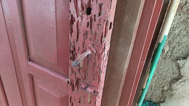Detailed stock footage capturing deep termite tunnels and severe wood destruction on a weathered red wooden door jamb.