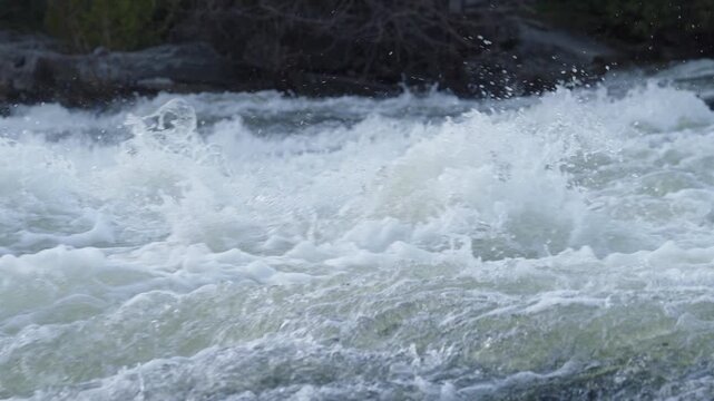 Churning white water surges downstream through a rocky channel bordered by forest trees.