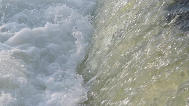 A fish struggles to leap upstream against a powerful current over a limestone ledge. The close up shot captures the aquatic migration at Sauble Falls on the Bruce Peninsula, Ontario.