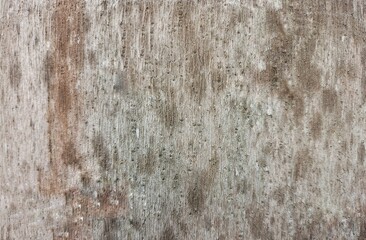 Fototapeta premium Old Weathered Concrete Wall Texture Background with Natural Rustic Surface