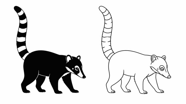 Coati Walking, Black and White Striped Tail, Wildlife Illustration