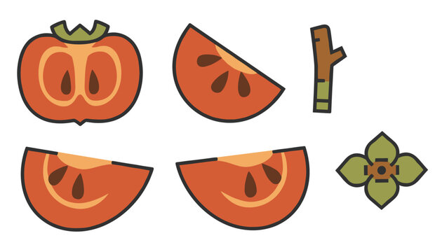 Deconstructed flat vector set of persimmon fruit parts including a half cut, slices, stem, and leaves.
