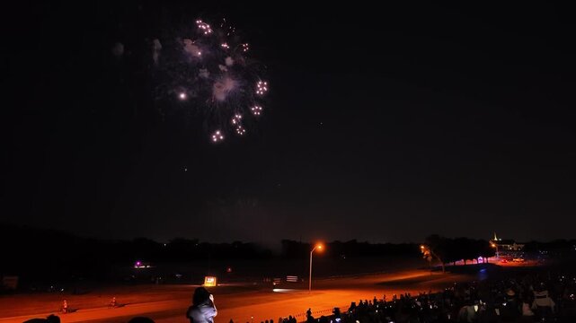 Fireworks display over a park at night with spectators watching