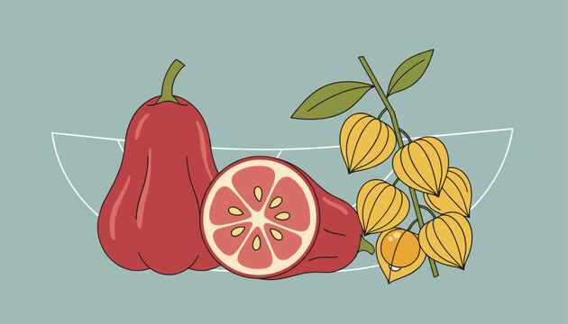 Botanical illustration featuring red rose apples and yellow physalis gooseberries inside a white bowl outline.