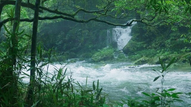 Rushing River with Waterfall in Misty Forest