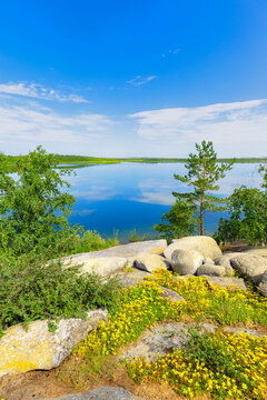 Tranquil nature scene with shore calm lake and yellow wild flower Potentilla growing in  crevices of  gray rock with orange lichen. Harmony and relaxation concept. Lake Big Chebachye in Kazakhstan.