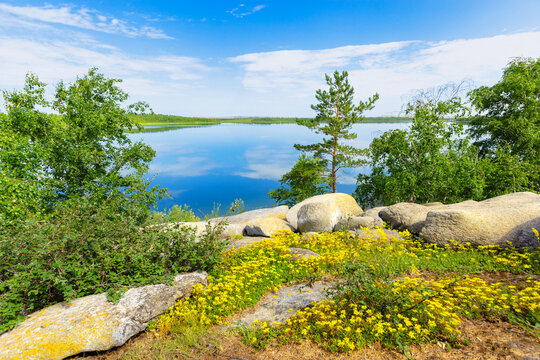 Stony shore lake Ulken Shabakty with blue water, n of green plants and blue sky with white clouds, yellow flowers. Scenic landscape in Burabay National Nature Park. Summer nature travel photo.