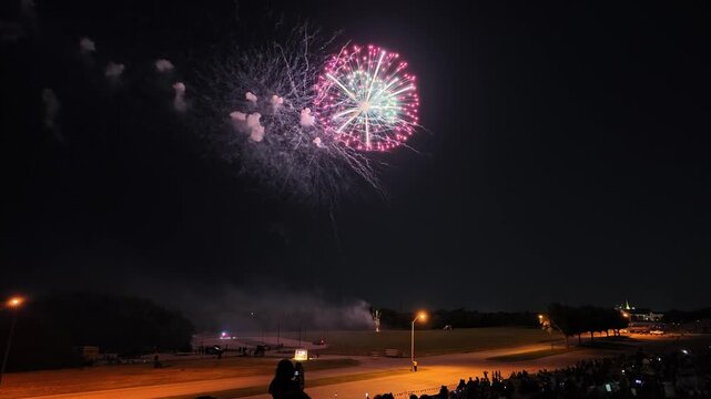 Colorful fireworks exploding over a park at night with crowd watching