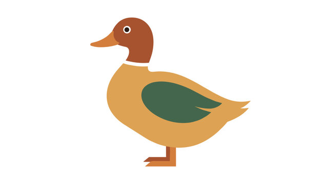 Side view illustration of a colorful mallard duck with a brown head and green wing patch, isolated on a white background.