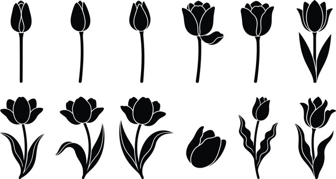 Black Tulip Flower Silhouette Vector Icon Set with Stems and Leaves for Spring Botanical Logos, Stencil Patterns, and Decorative Floral Graphic Designs