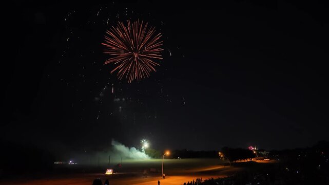 Colorful fireworks exploding in night sky over park