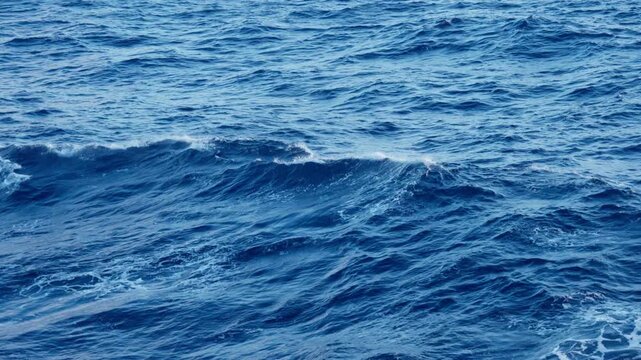 Deep blue ocean waves roll across the open sea surface with white foam crests forming and breaking. Rippling water texture shows natural wave patterns in vibrant blue tones under clear daylight.