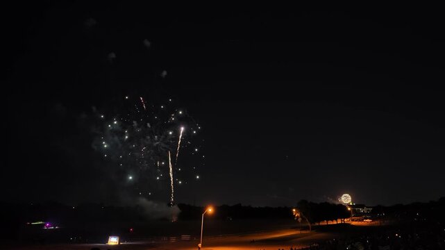 Fireworks exploding in night sky over park