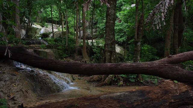 A waterfall with clear blue water, surrounded by natural rock formations and lush trees.