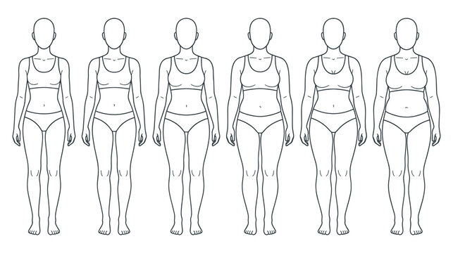 Female body type progression from thin to overweight.