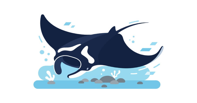 Graceful Manta Ray Swimming Through Tropical Ocean Currents Near Rocky Seafloor While Maintaining Its Elegant Glide Patterns Across Calm Deep Underwater Environments In Natural Marine Habitats