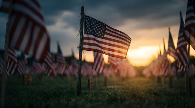 Many american flags displayed in a field during a beautiful sunset to honor veterans on memorial day