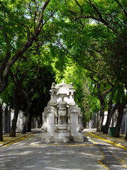 Fototapeta premium An ornate white stone monument stands centered along a tree-lined paved avenue under a leafy green canopy in Prazeres Cemetery in Lisbon, Portugal.