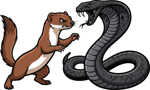 Mongoose fighting cobra snake cartoon vector illustration set battle scene animal wildlife mascot logo design concept isolated on white background