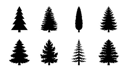 Obraz premium Set of black silhouettes of various coniferous trees isolated on a white background