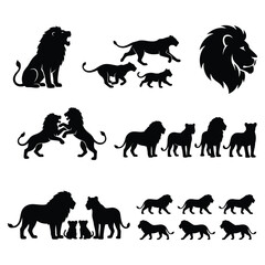 Set of black lion silhouettes showing various poses and activities of wild cats in nature © Md