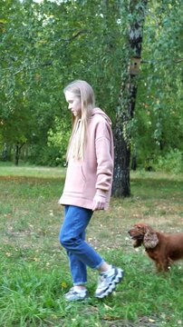 Blonde teenage girl wearing a casual pink hoodie and jeans walking her beautiful brown english cocker spaniel across a green grassy lawn in a park, enjoying their outdoor leisure time together